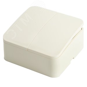 выключ 2-клав ОП 10А София слон\кость 49474