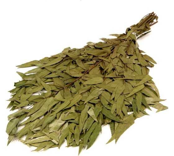 Веник банный Эвкалипт