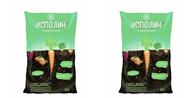 Исполин 2л универсальный Богатырь 2723102