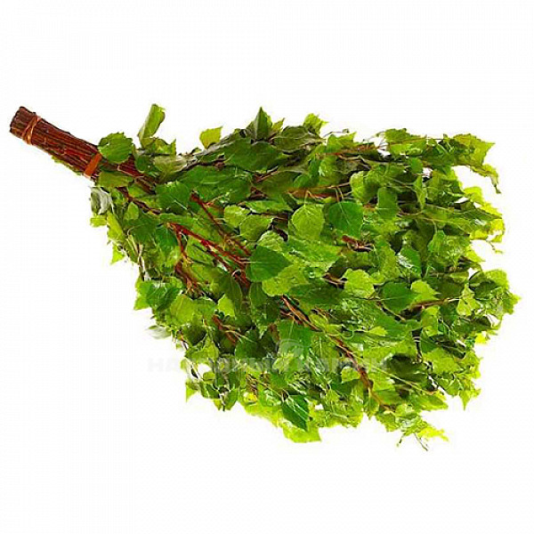 Веник банный Береза